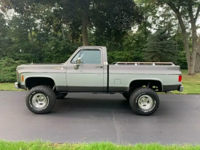 1979 Chevrolet C/K Pickup 1500