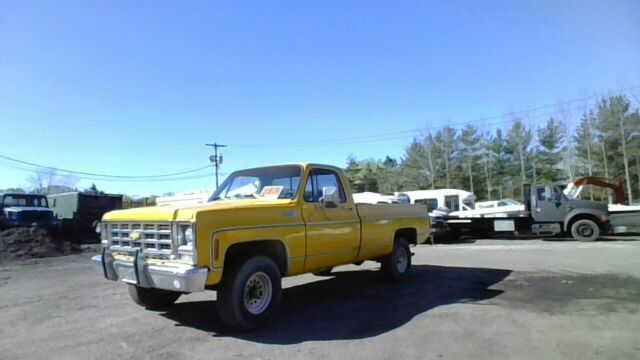 1979 Chevrolet C/K Pickup 1500 Scottsdale