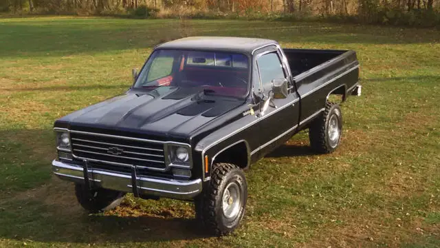 1979 Chevrolet C/K Pickup 1500 Scottsdale