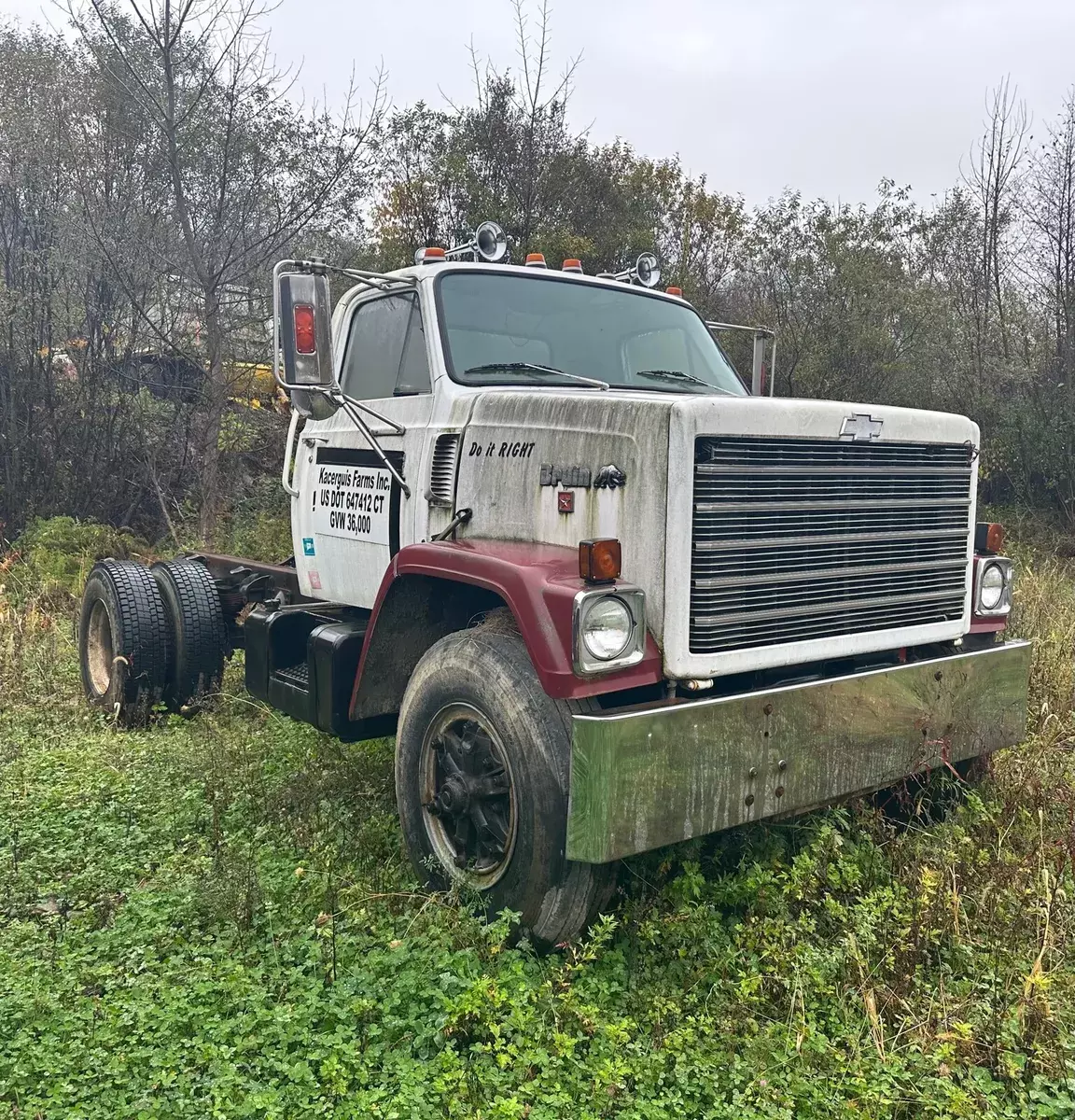 1979 Chevrolet Series H3 bruin