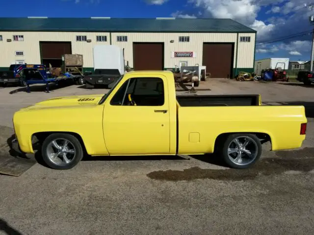 1979 Chevrolet C-10