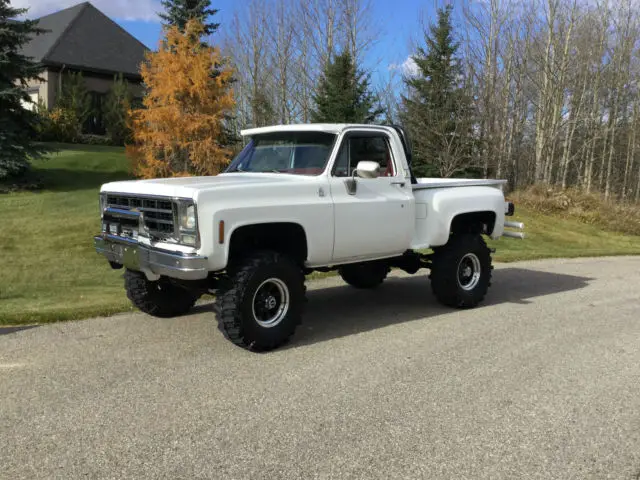 1979 Chevrolet Silverado 1500 Silverado