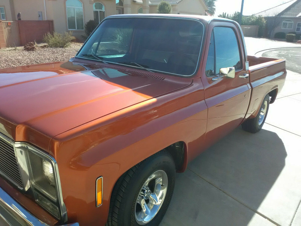 1979 Chevrolet Silverado 1500