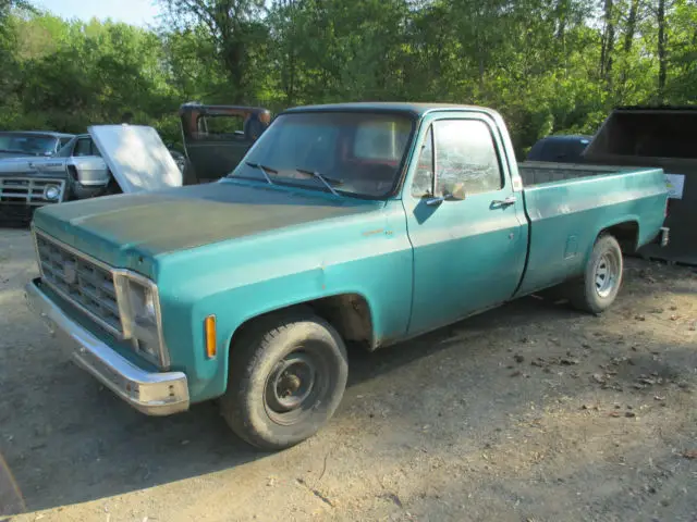 1979 Chevrolet C-10