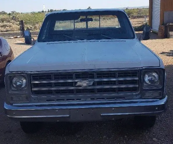 1979 Chevrolet Other Pickups Silverado