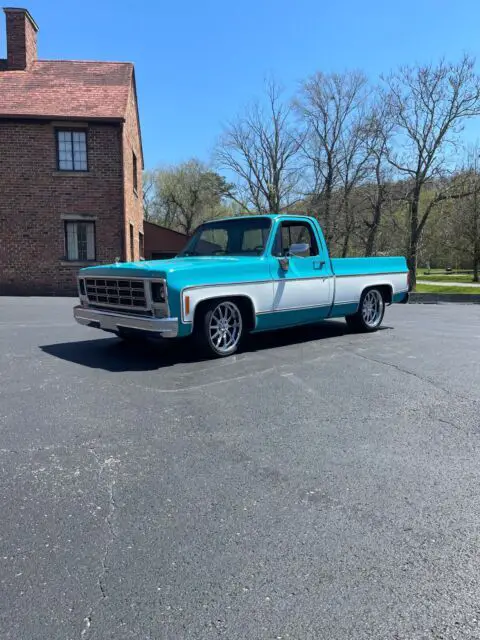 1979 Chevrolet Silverado