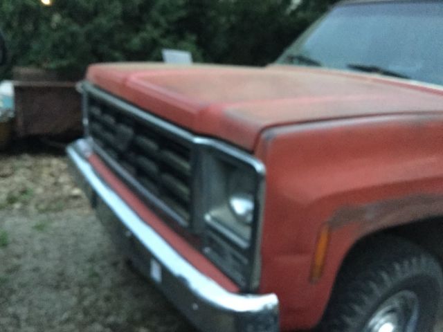 1979 Chevrolet Other Pickups