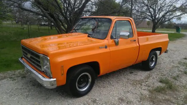 1979 Chevrolet Other Pickups Bonanza