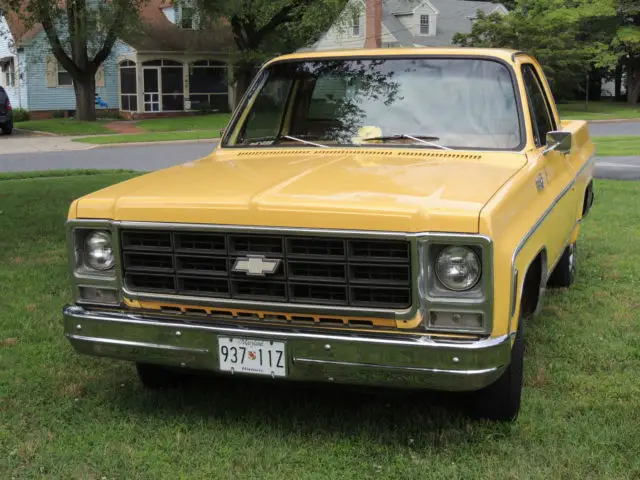 1979 Chevrolet Other Pickups C-10 Short Bed