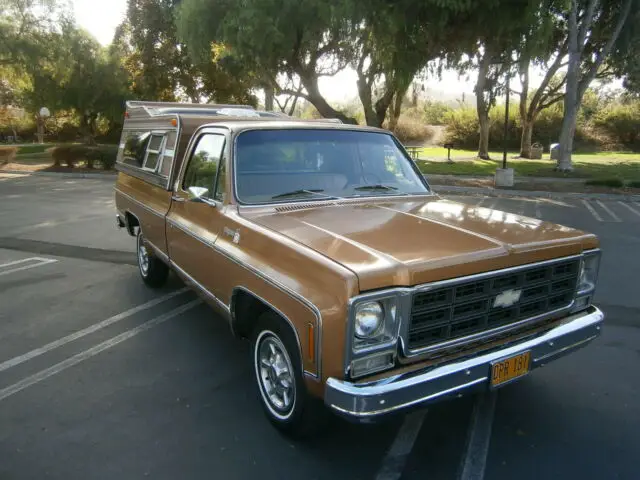 1979 Chevrolet C-10 CHEYENNE