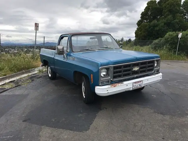 1979 Chevrolet C-10