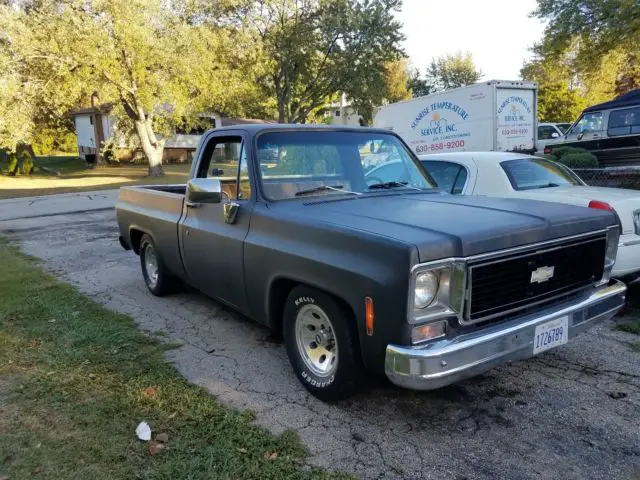 1979 Chevrolet C-10