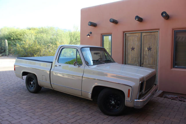 1979 Chevrolet C-10