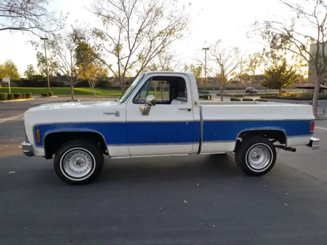 1979 Chevrolet C-10