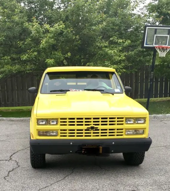 1979 Chevrolet Other Pickups Yellow/Black