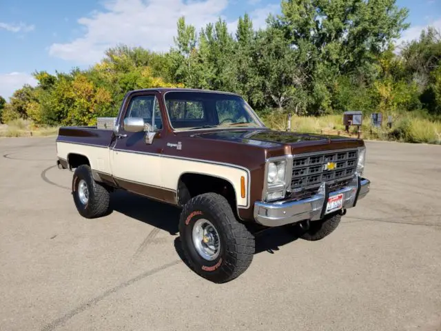 1979 Chevrolet Cheyenne Cheyenne