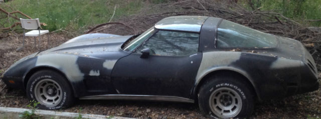 1979 Chevrolet Corvette