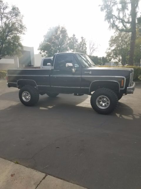 1979 Chevrolet C/K Pickup 1500