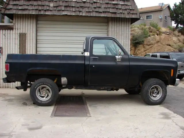 1979 Chevrolet C/K Pickup 1500