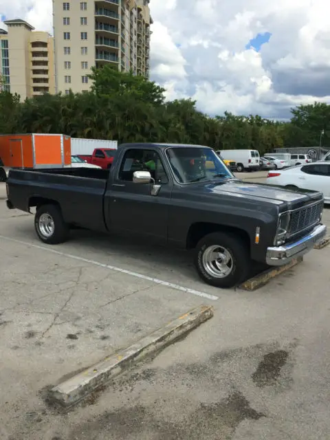 1979 Chevrolet Other Pickups