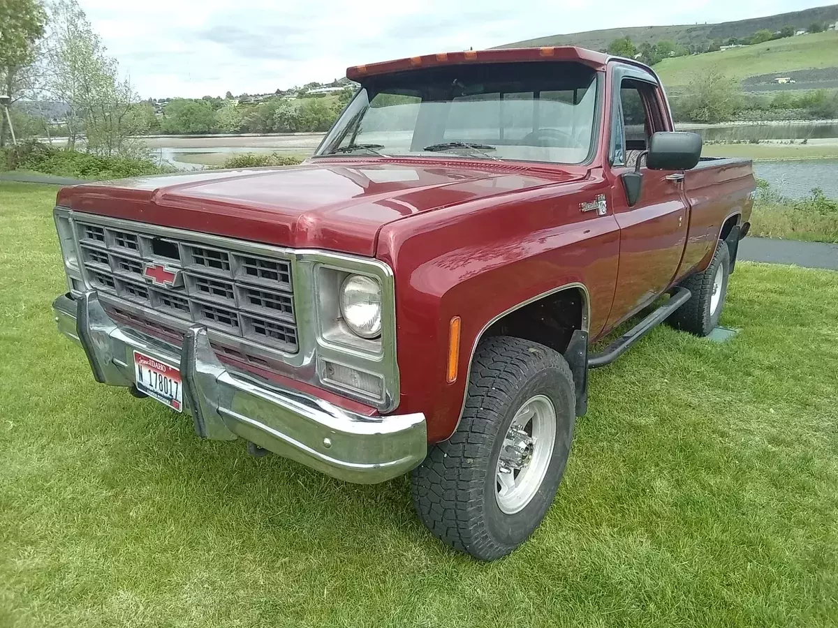 1979 Chevrolet Other Pickups