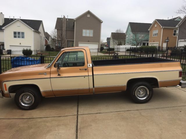 1979 Chevrolet C-10 Silverado