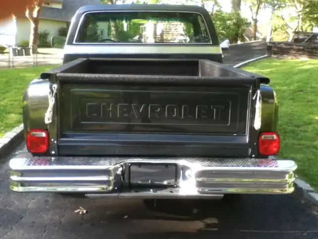 1979 Chevrolet Other Pickups