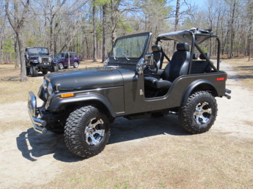 1979 Jeep CJ