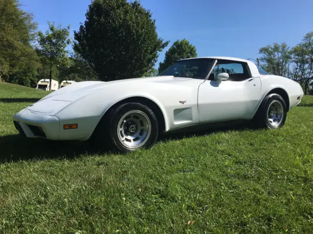 1979 Chevrolet Corvette stock