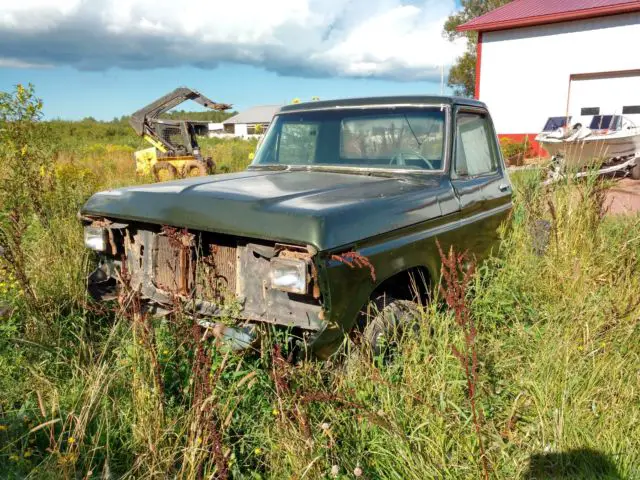 1979 Ford F-150