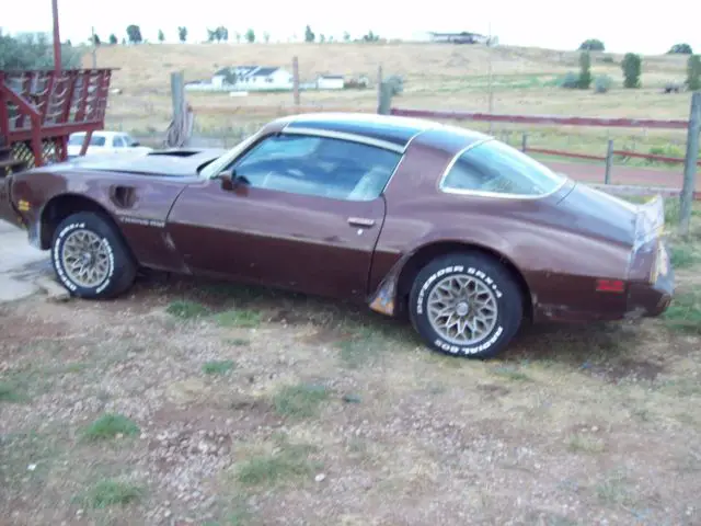 1979 Pontiac Trans Am