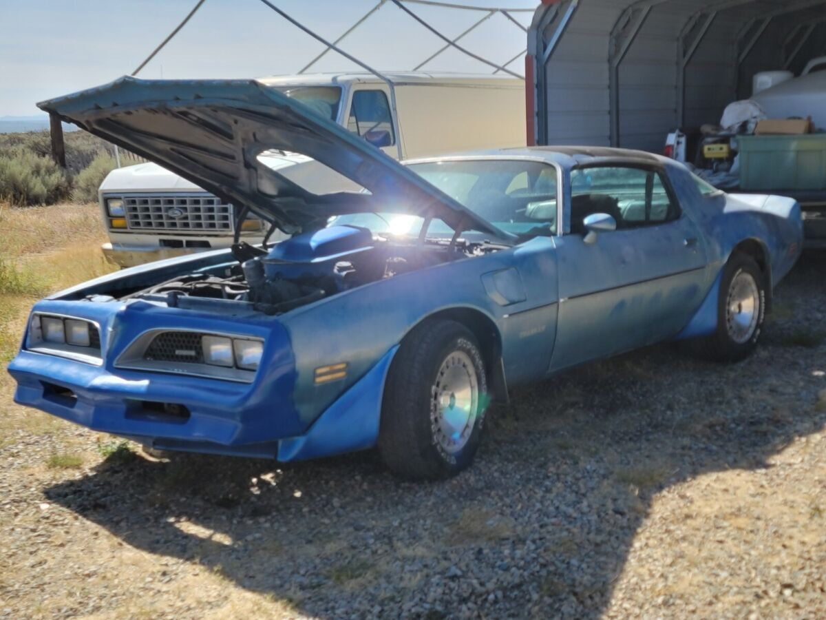 1979 Pontiac Trans Am