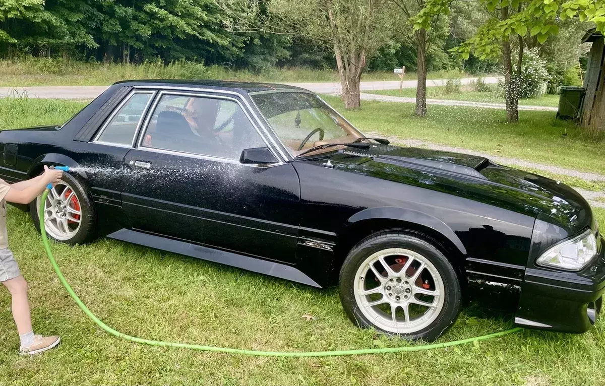 1979 Ford Mustang