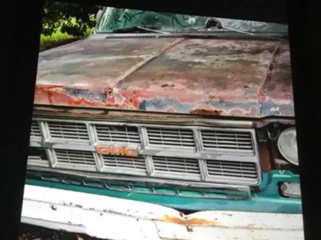 1979 Chevrolet Other Pickups GREEN