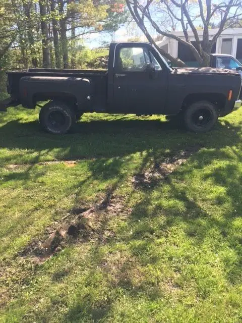 1979 Chevrolet Other Pickups stepside