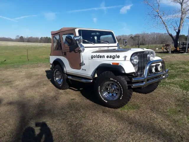 1979 Jeep CJ CJ5