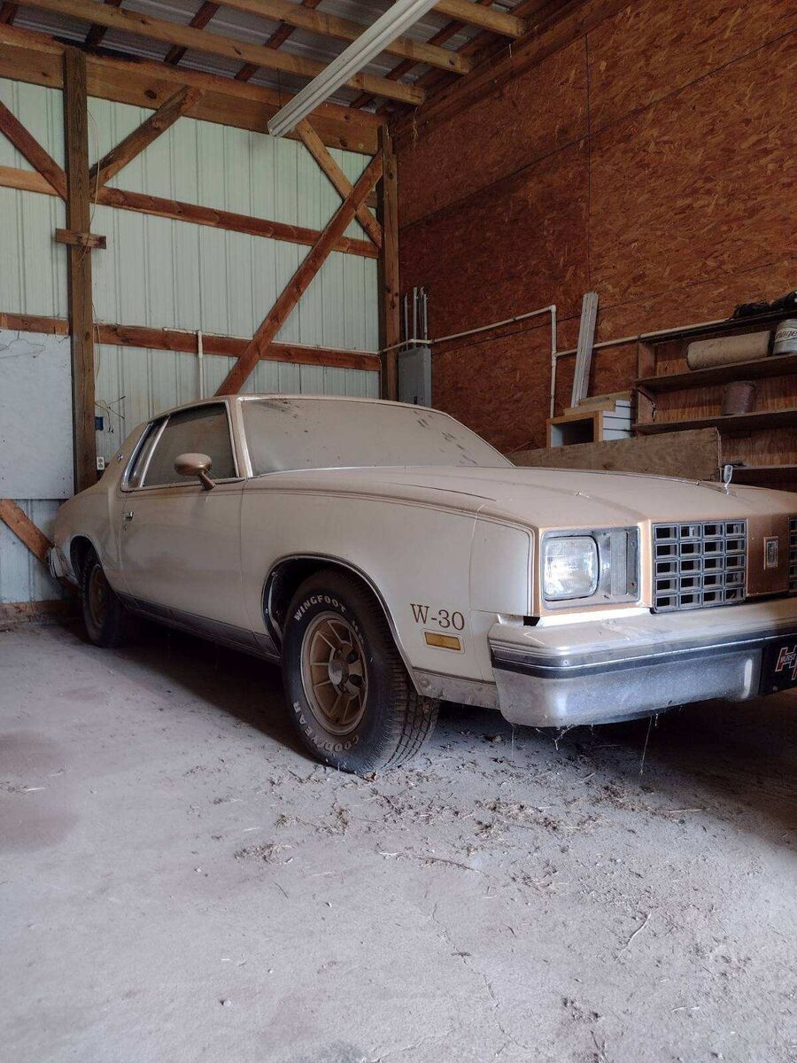 1979 Oldsmobile Cutlass