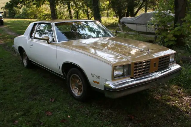 1979 Oldsmobile Cutlass