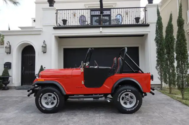 1979 Jeep CJ CJ