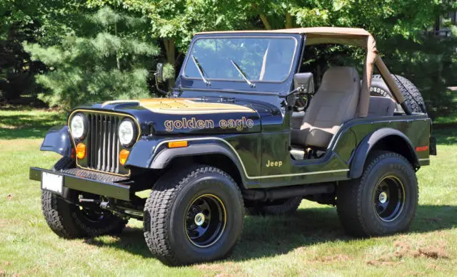 1979 Jeep CJ