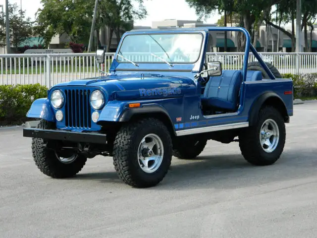 1979 Jeep CJ CJ-7 LEVI'S