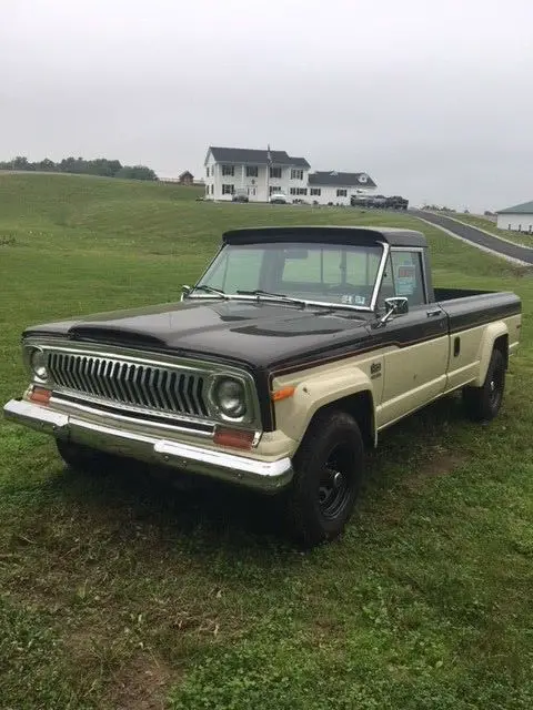 1979 Jeep J10