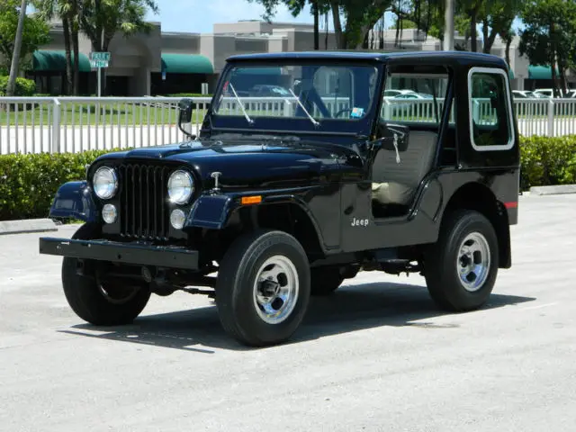 1979 Jeep CJ