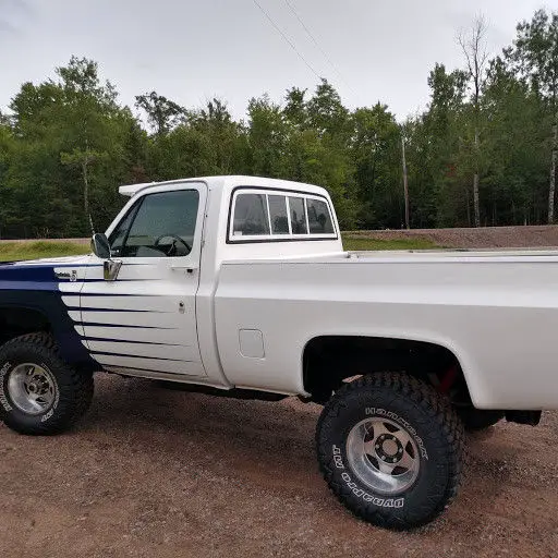 1979 Chevrolet C/K Pickup 1500 SCOTTSDALE