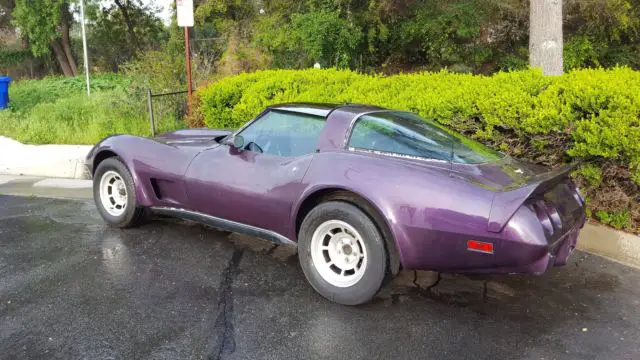 1979 Chevrolet Corvette Front & rear spoilers