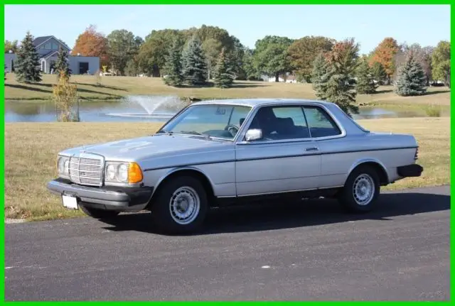 1979 Mercedes-Benz 300-Series