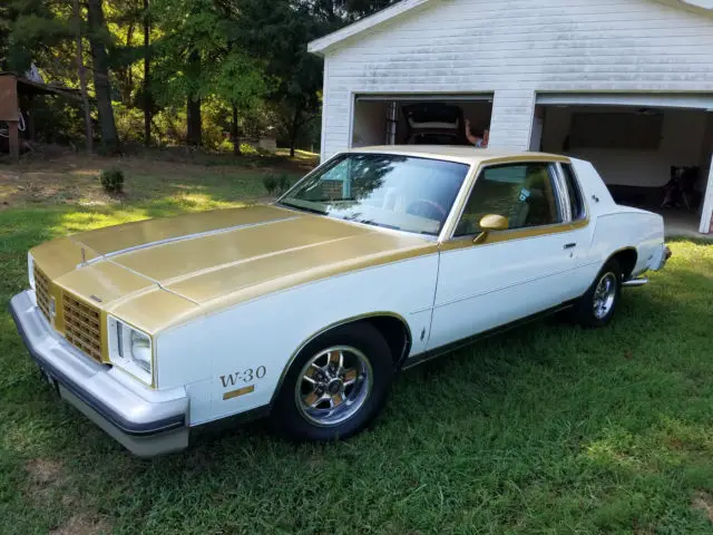 1979 Oldsmobile Cutlass 2 door coupe