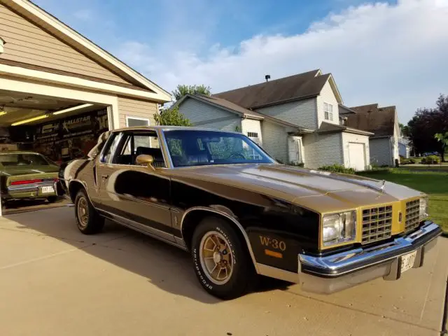 1979 Oldsmobile Cutlass