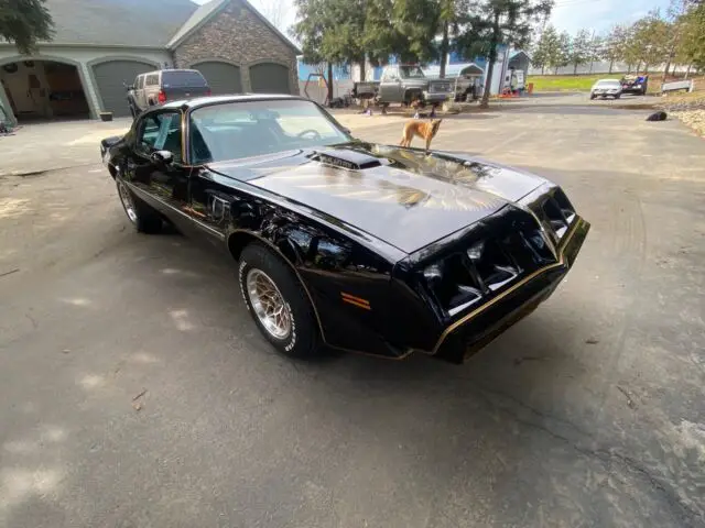 1979 Pontiac Firebird Trans Am Y84-WS6 PKG