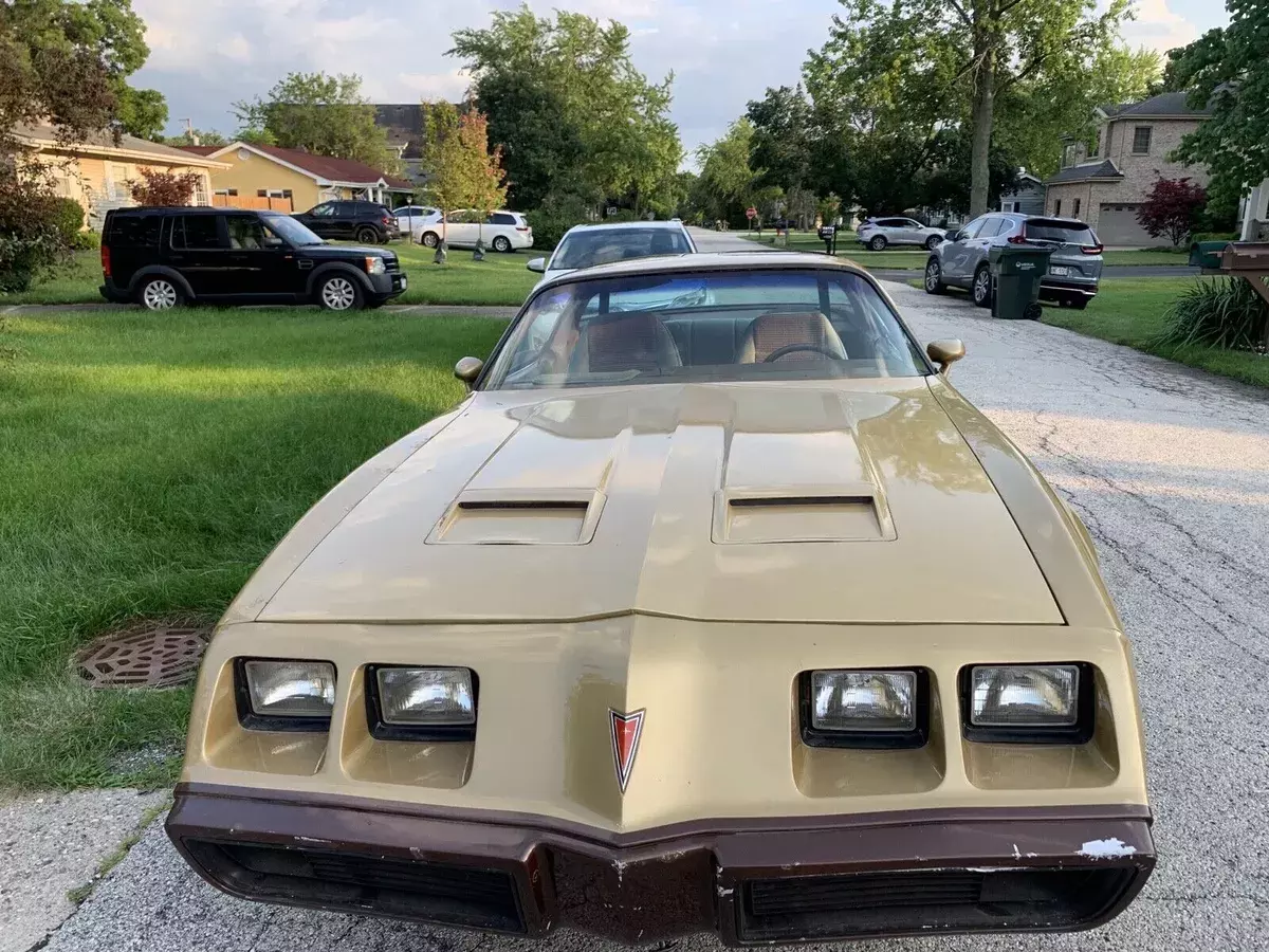 1979 Pontiac Firebird